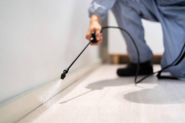 Licensed Pest Control service in Egan, LA - Show Me Pest Control