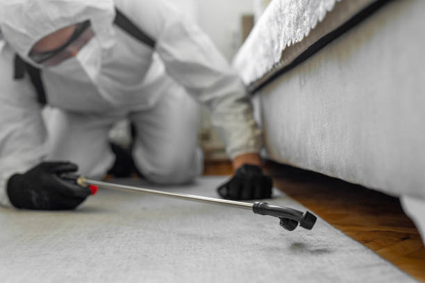 Professional Ant Control technician working in Egan, LA