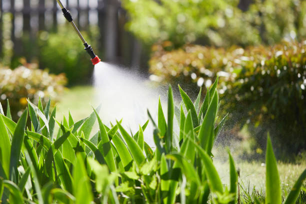 24/7 Emergency Ant Control experts in Egan, LA