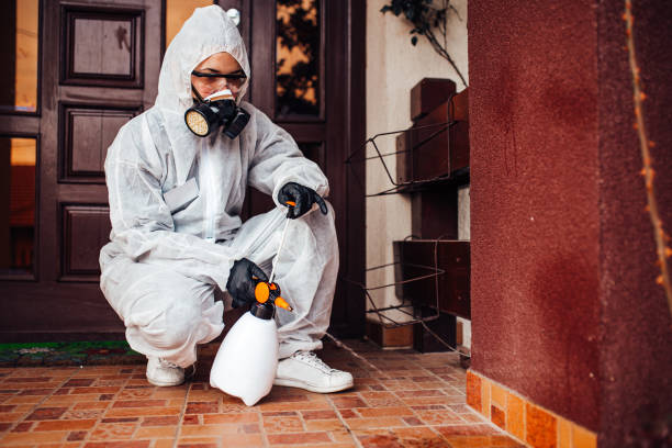 Reliable Ant Control contractor in Egan, LA by Show Me Pest Control